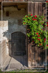 Burghausen (119) Burg