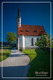 Castle - Saint Hedwig Chapel, Castlehausen (132)