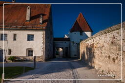 Châteauhausen (138) Château