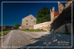 Châteauhausen (155) Château - Armurerie