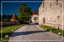 Châteauhausen (164) Château - Échauguettes