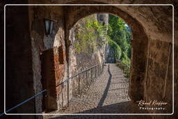 Castle - Steep entrance, Castlehausen (250)