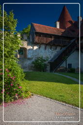 Châteauhausen (265) Château