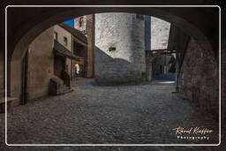 Castle - Main castle, Castlehausen (376)