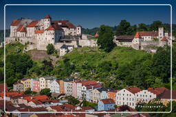 Castlehausen (485)