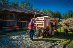 Museu da fazenda Amerang (396)