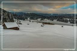 Geroldsee (Wagenbrüchsee) (7)