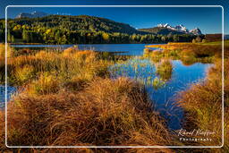 Geroldsee (Wagenbrüchsee) (748)