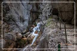 Höllental Gorge, Garmisch-Partenkirchen (262)