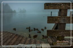 Schönau am Königssee, Königssee (43)