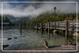 Schönau am Königssee, Königssee (143)