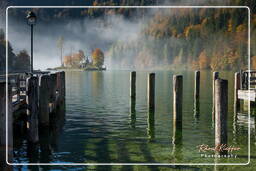 Schönau am Königssee, Königssee (176)