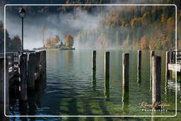 Königssee (176) Schönau am Königssee