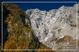 Königssee (385)