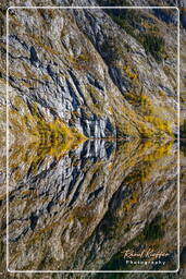 Obersee, Königssee (461)