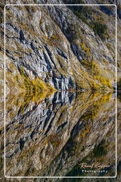 Königssee (461) Obersee