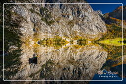 Obersee, Königssee (537)