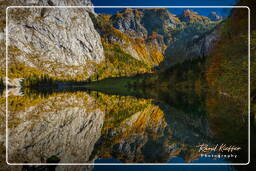 Obersee, Königssee (698)