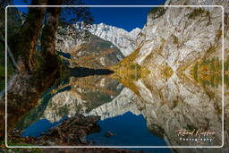 Königssee (543) Obersee
