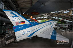 EADS - Boeing X-31, Musée de l’Aviation Schleißheim (40)