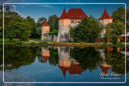 Castello di Blutenburg (82)