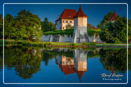 Castello di Blutenburg (127)