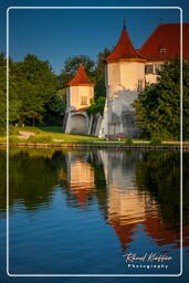 Castillo de Blutenburg (133)