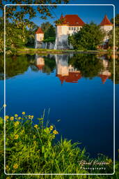 Schloss Blutenburg (136)