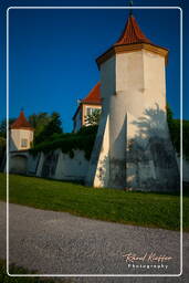 Schloss Blutenburg (155)