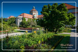 Botanical Garden (Munich) (4)