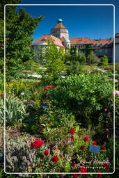 Giardino Botanico (Monaco di Baviera) (9)