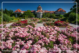 Jardim Botânico (Munique) (65)