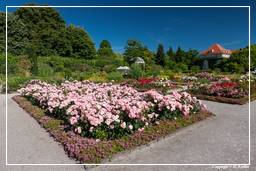 Giardino Botanico (Monaco di Baviera) (66)