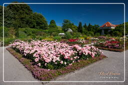 Botanical Garden (Munich) (66)