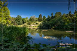 Botanical Garden (Munich) (87)