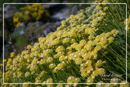 Botanical Garden (Munich) (111)