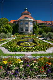 Giardino Botanico (Monaco di Baviera) (162)