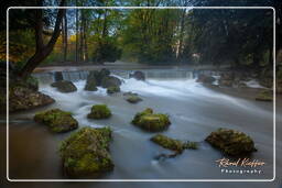 English Garden (Munich) (36) Eisbach