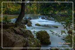 Eisbach, English Garden (Munich) (69)