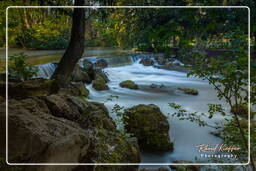 Englischer Garten (München) (69) Eisbach