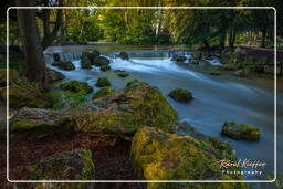 Englischer Garten (München) (78) Eisbach