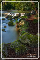 Englischer Garten (München) (125) Eisbach