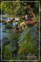 Englischer Garten (München) (132) Eisbach