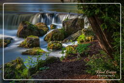 Englischer Garten (München) (153) Eisbach