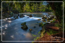 Giardino Inglese (Monaco di Baviera) (154) Eisbach