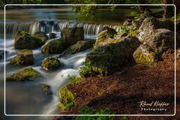 Jardín Inglés (Múnich) (158) Eisbach