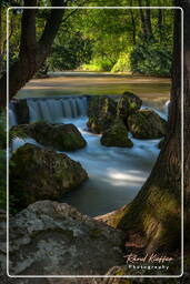 Englischer Garten (München) (201) Eisbach