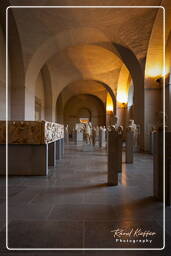 Glyptothek (Munich) (116)