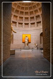 Glyptothek (Munich) (147)