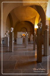 Glyptothek (Munich) (193)